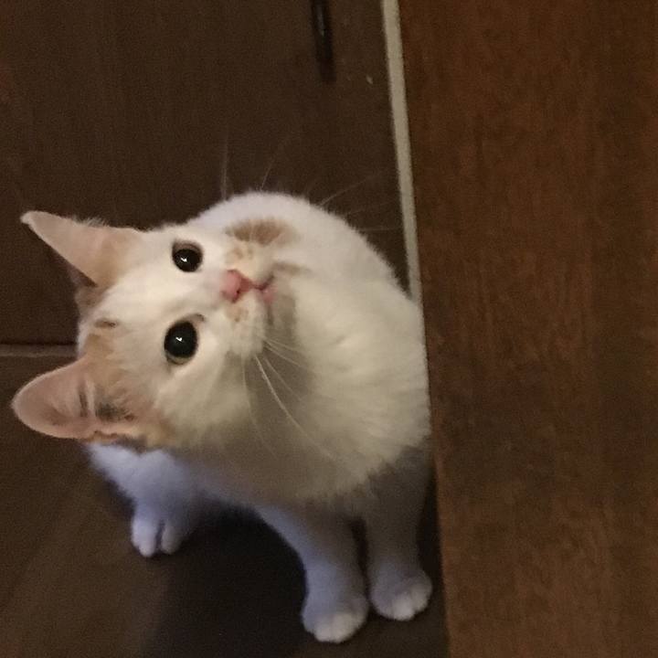 273701bc 1bbf 4fab bb82 f67a3901891b