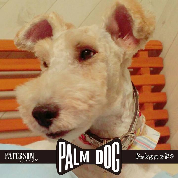 273709b5 6fc4 40fb b112 28e392bc9910