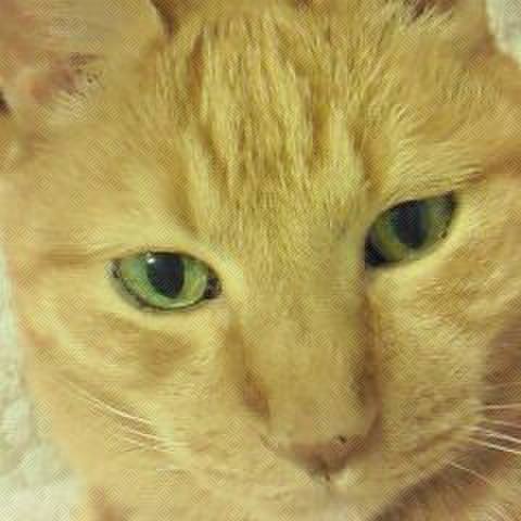 2737470c 4938 4bf5 9ec5 1d72183f6be7