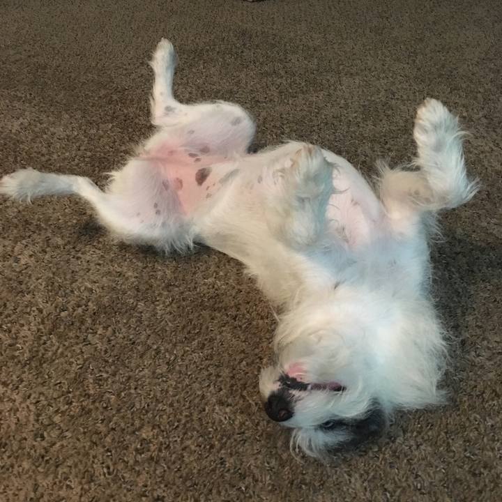 273766b5 7350 40d5 9f89 633ee5050075