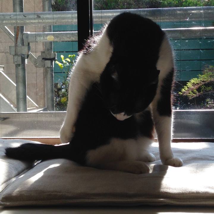 273831b9 d97b 43b3 8191 09da5552076e