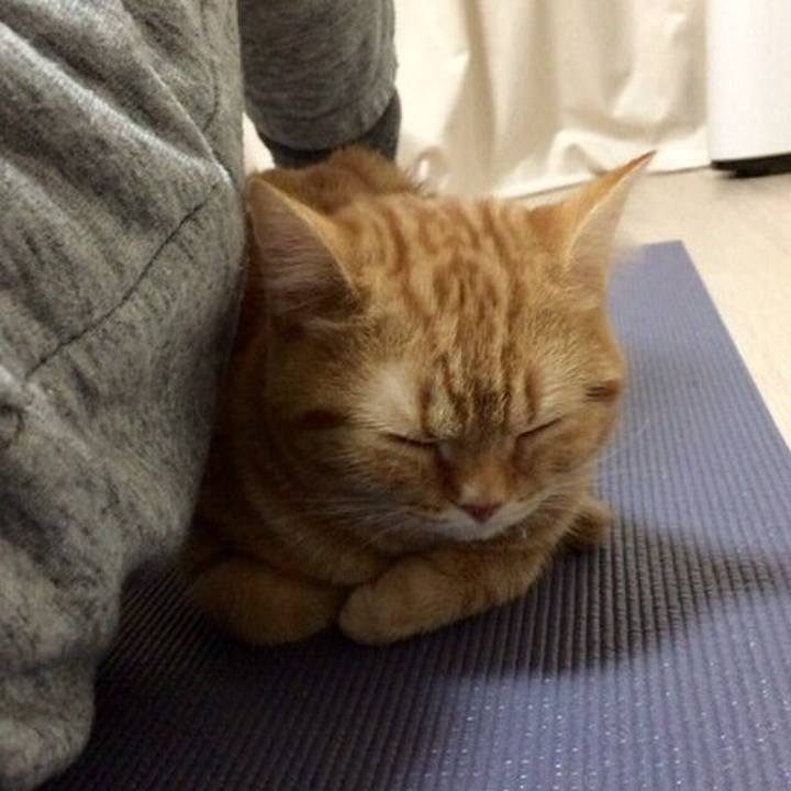 27394621 2a44 46cf ae12 ea08bb10e644