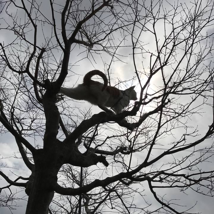 27398997 890e 44e6 ab3b 28c9e626e21b