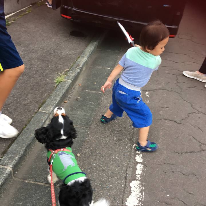 2739ac21 e603 4f83 9a35 db9998b3a83f