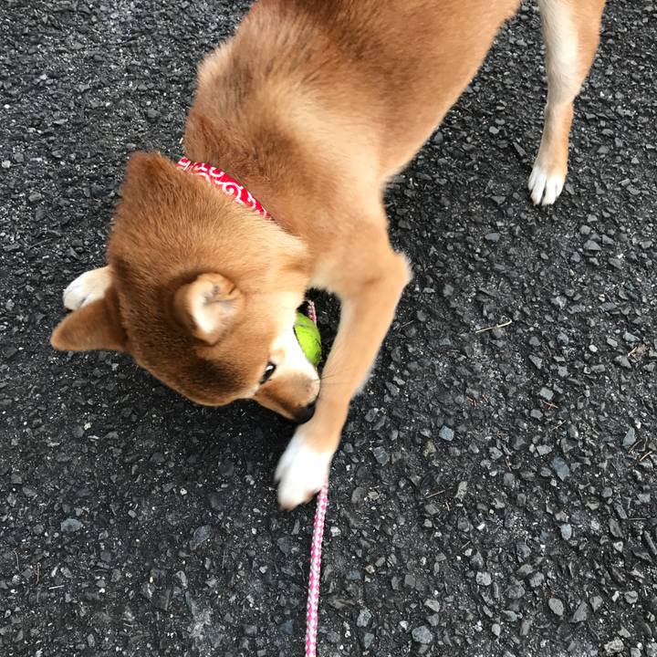 2739b965 f66d 46f5 9138 692ac7c00279