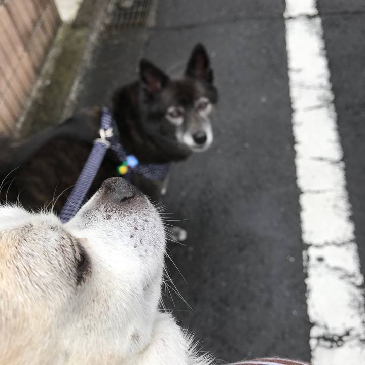 2739df35 5e9c 4aa9 b104 8794c0097529