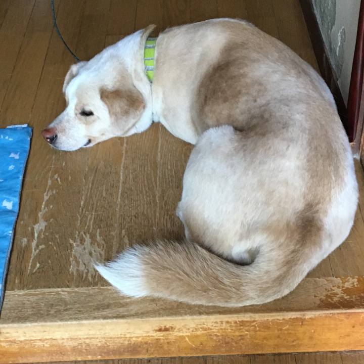 2739ebb3 e2d2 41b7 8284 c04e65106002