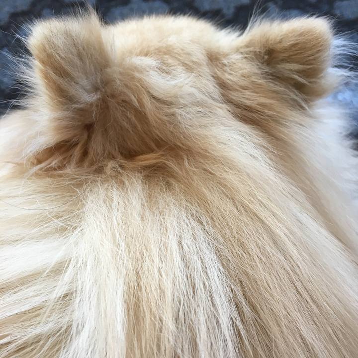 273a879f 5e78 4fe8 977b 7a23de7486d0