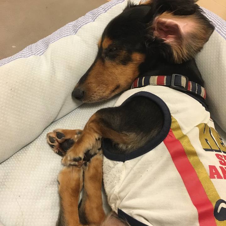 273a9519 908c 4291 875e b5932b06b630