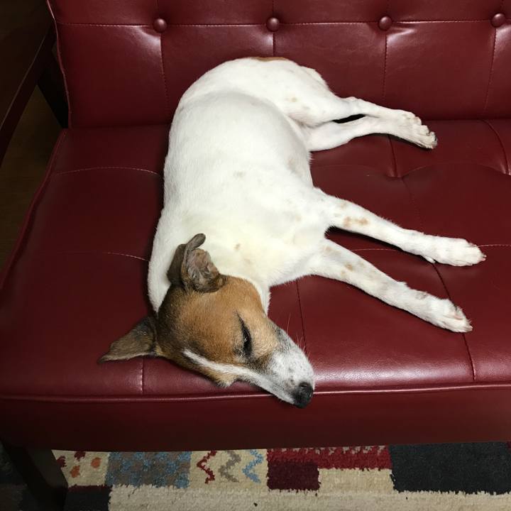 273aab5f 0975 4bbb 8867 41530a405ab1