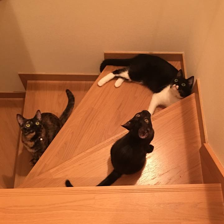 273ad390 ea18 422c 934c 01b8e5237d28