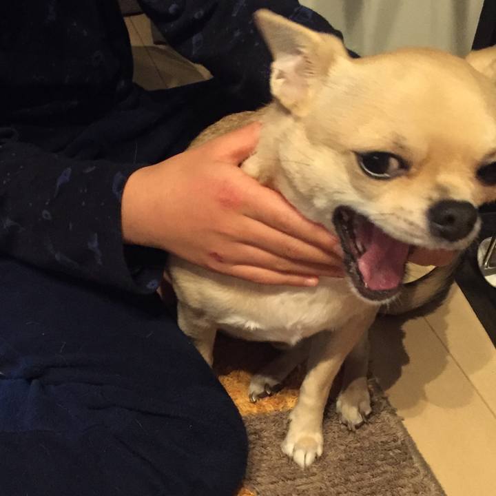 273b57de bf85 41ce a6ba f797a7d3103e