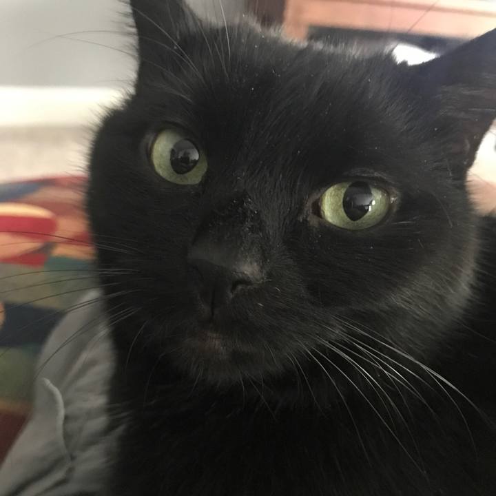 273b9454 13e3 4e19 b720 dfecd488b55e