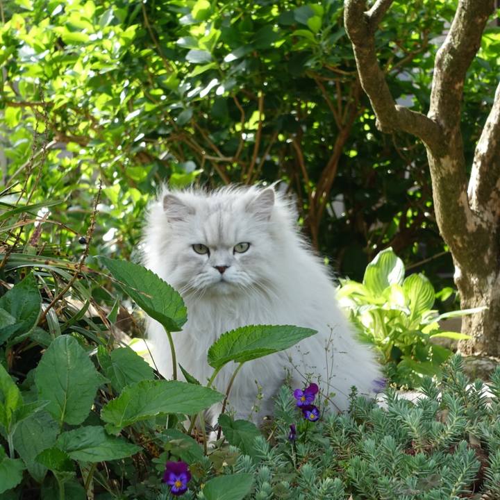 273bea99 849b 4c4b 828a 5870e650e13f