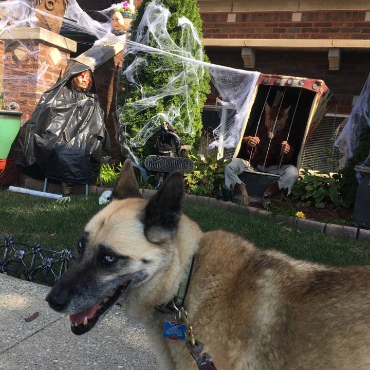 273bfd72 6c82 4294 858c 6b94980f272a