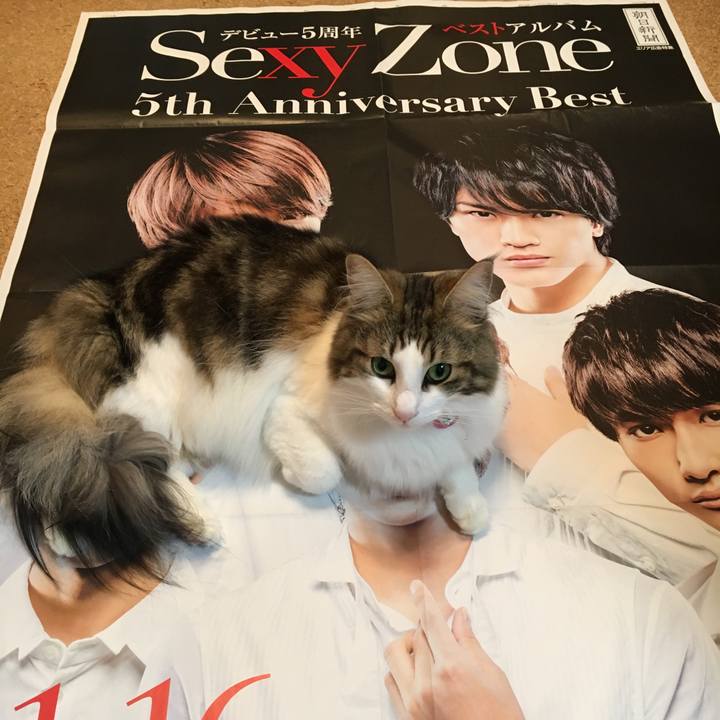 273c6aa3 0c21 474f 9cda 0011a4a3fceb