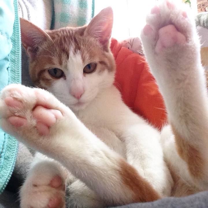 273c6c1a e92a 4300 a2f3 a3a40e1a0a50