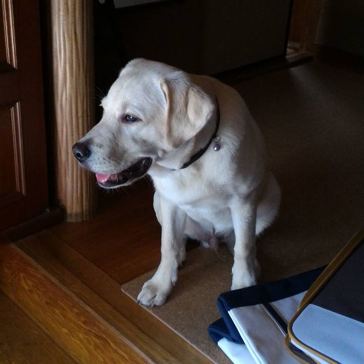 273c93e4 3c08 408c 866f 969d15da0cf2