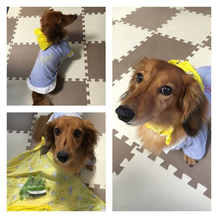 273cfc89 aeb5 4771 87e8 b2e5d388fade