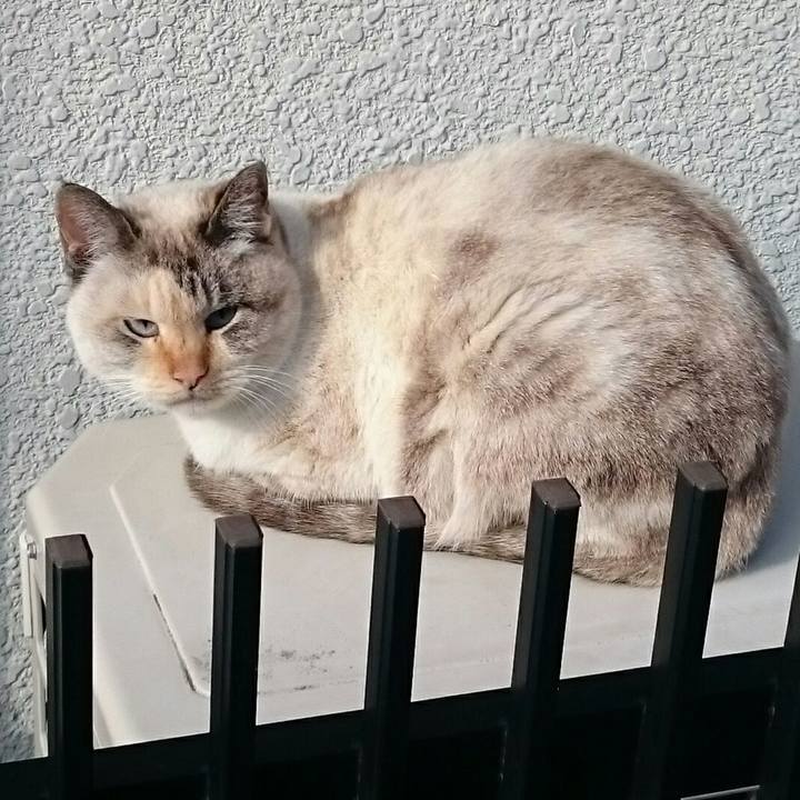 273d0517 e23a 46f0 8c65 c001de6ae114