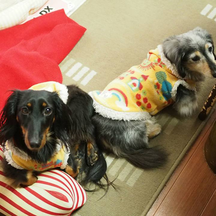 273e1222 2aea 4426 8825 29f8eaf579f0