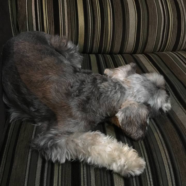 273e9c95 c270 4fc9 8963 8e62a4be520e