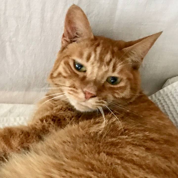 273ed314 014a 4e63 8e91 b0a656098818