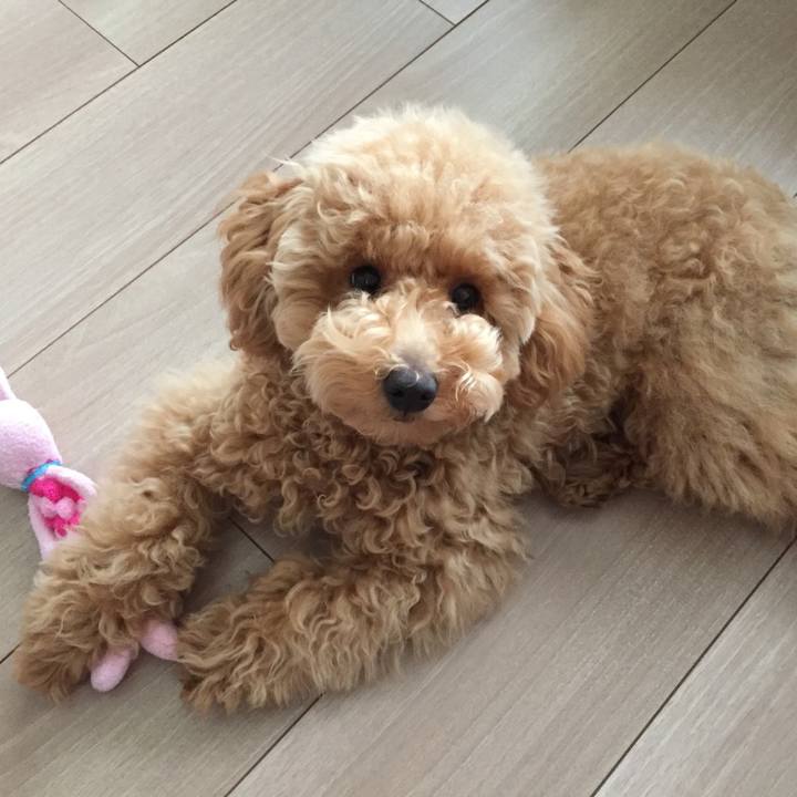 273f5ba7 9907 4caa 93cb 33f5769a7533