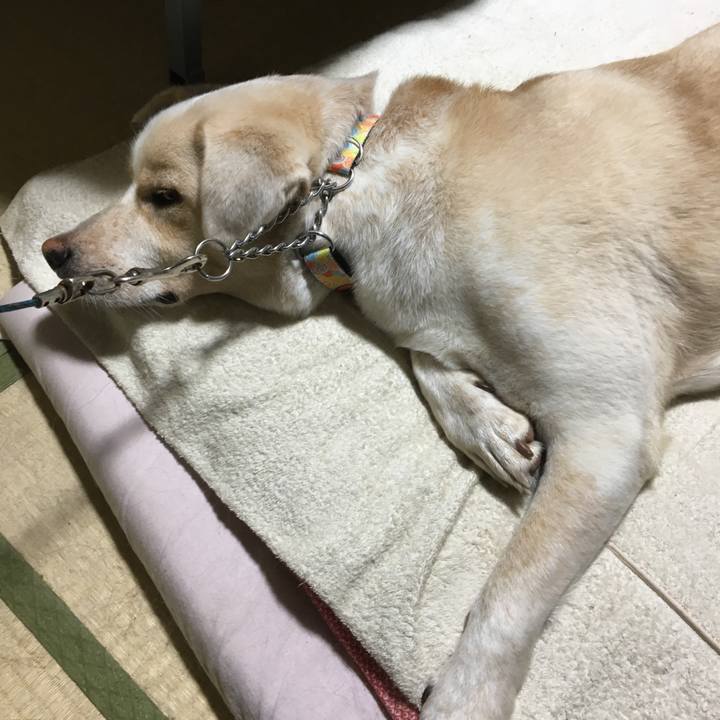 27401ca5 39e7 49ba bac5 9c699d9cc2f4