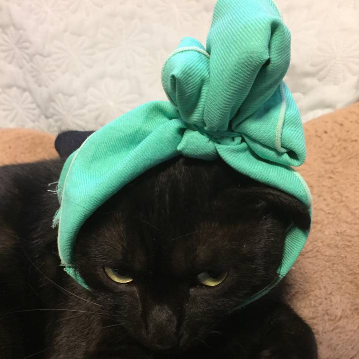 27409491 e22f 475c ade6 009d855a89ea