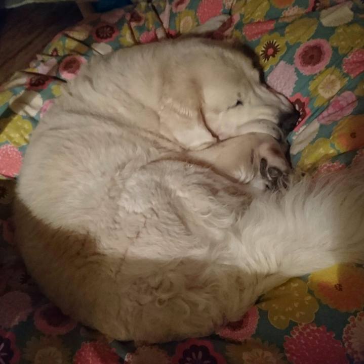 2740c8c3 50b3 4846 b84c 9784917f2056