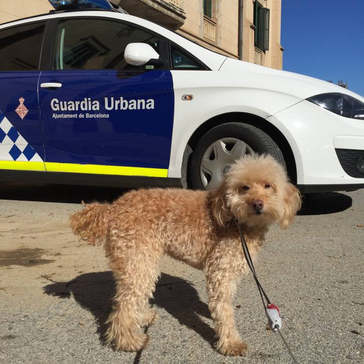 27417956 b9d1 49c0 a3d8 353a911021a3