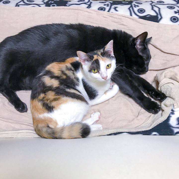 27427a07 e7da 4030 bc27 67c935a82559