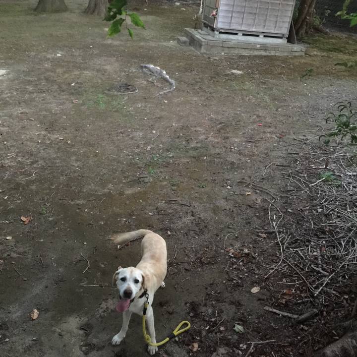 27430105 c0e2 40f2 8990 3512b52c1240