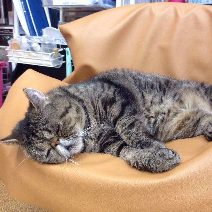 27442e72 5cd9 4be8 8c4a 08e912344ae6