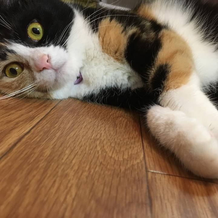 274451d8 c663 4fa2 a780 1c6d1abaae45