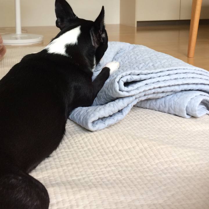 27445ac1 7051 4a0f 95ff 1dcea07c1d01