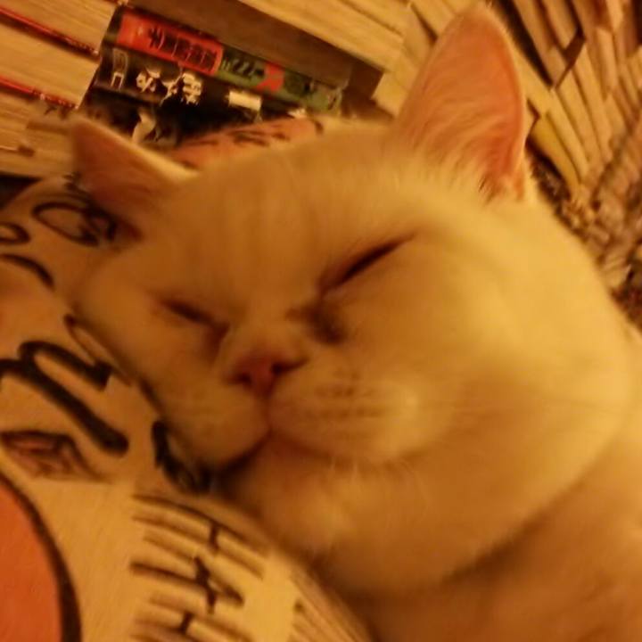 27446ea7 d7cd 462b b1c2 5df98ce398e8