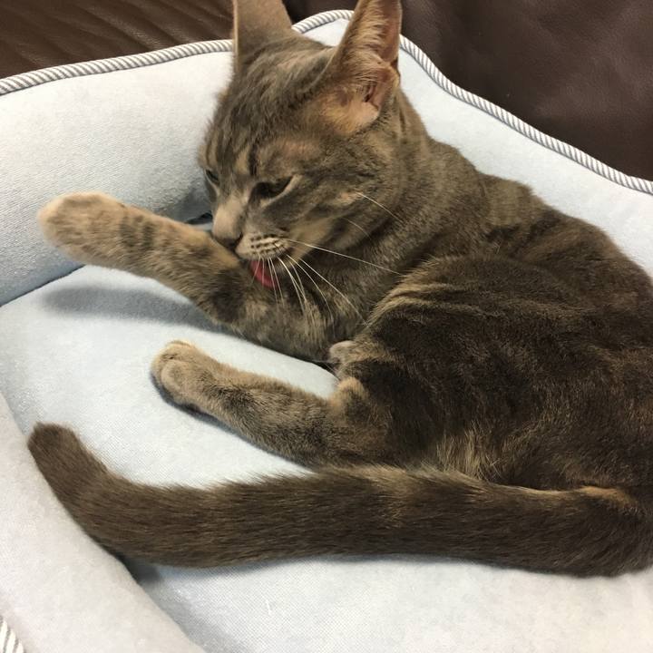 27455a00 f1aa 4b92 8728 04f7a19cca6e