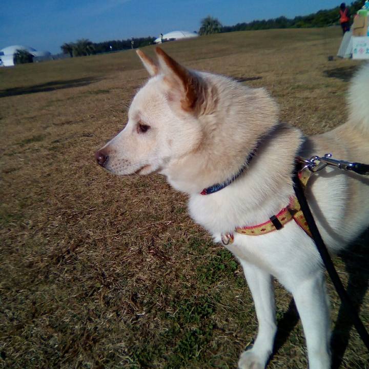 27456f6c 4daa 450e bc98 62f6566005e8