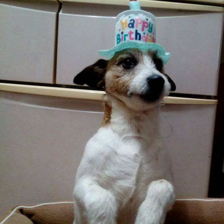 274656da 8194 47e1 97f1 fa38e3c59d9e