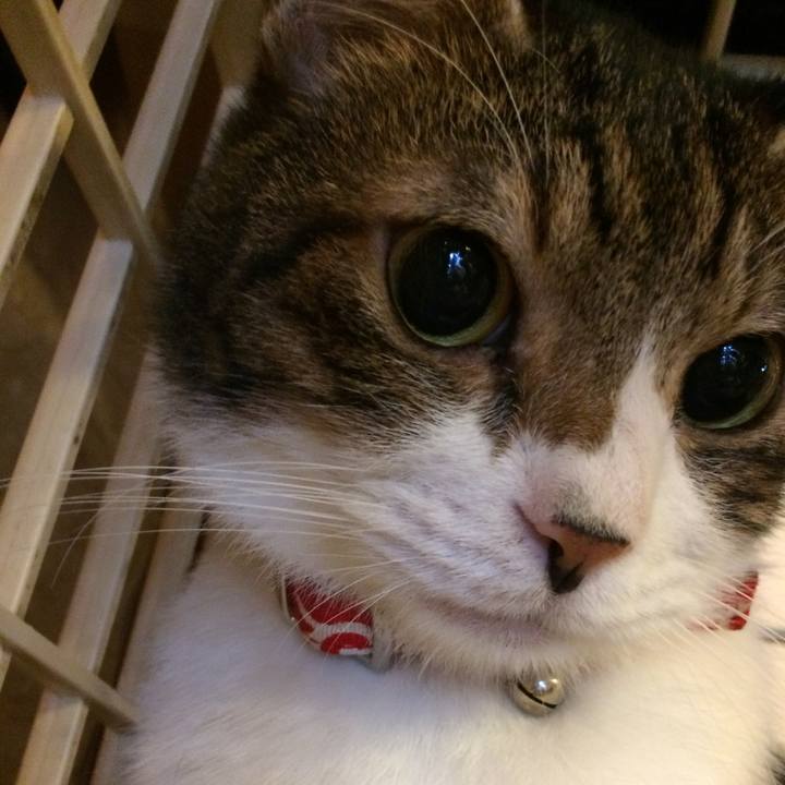 27468d94 433b 415c b48b 37471c7e1ef5