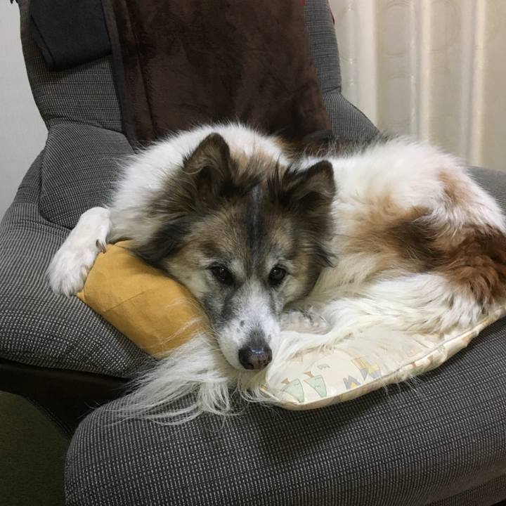 2746977d 01c0 4bf5 96d8 9b88fcc3cb7d