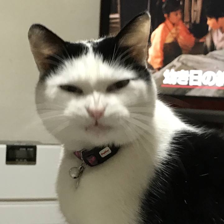 2746b21f 8251 4a4f 83e2 377a777c45b3