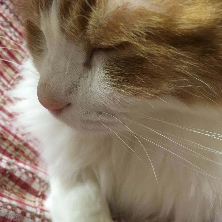 27472c98 84f2 4321 bec2 beb6edfa74f9