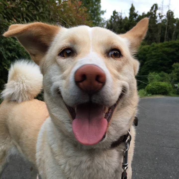 27476984 dea2 460f 94d9 504c0018711c