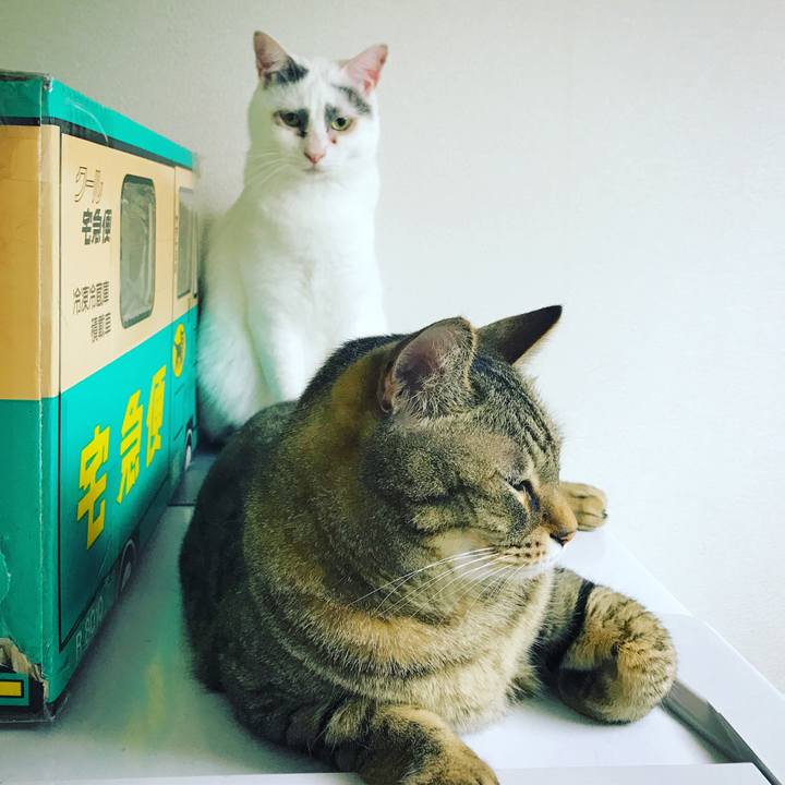 27477226 e3b3 4b0f 92ce 2064541d15c4