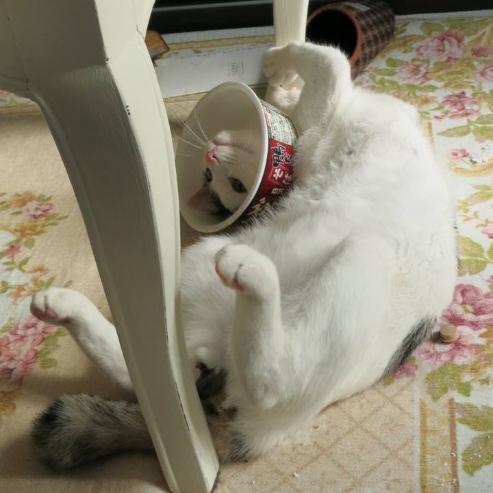 274795ec b509 4072 bf91 6e5998d5e1c5