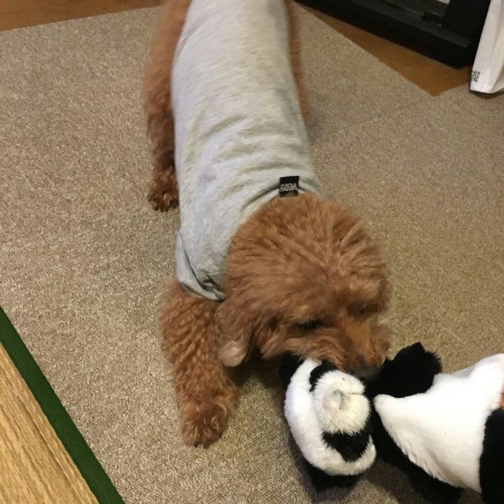 2747d20c 473c 4e31 a58b eeae2623c042