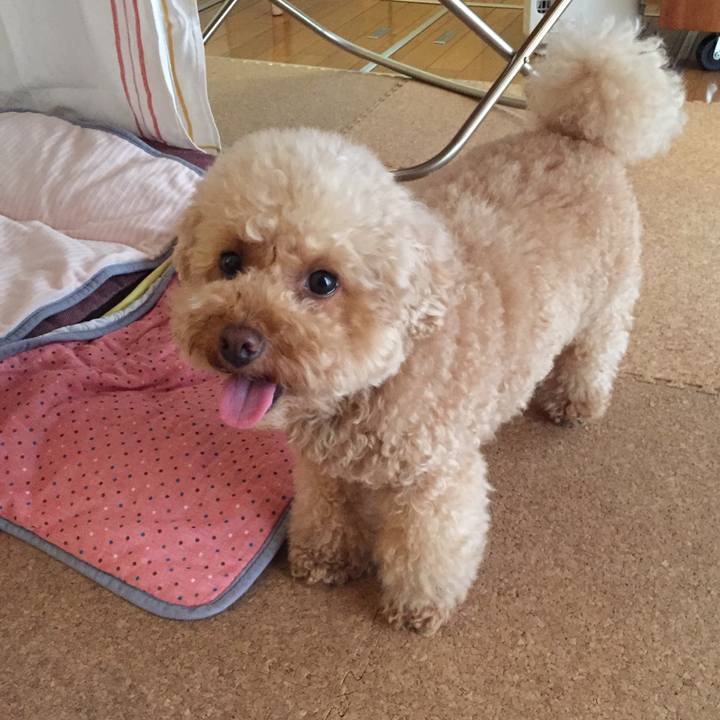 2749f6f6 7e9a 464f a664 71dd4e459946